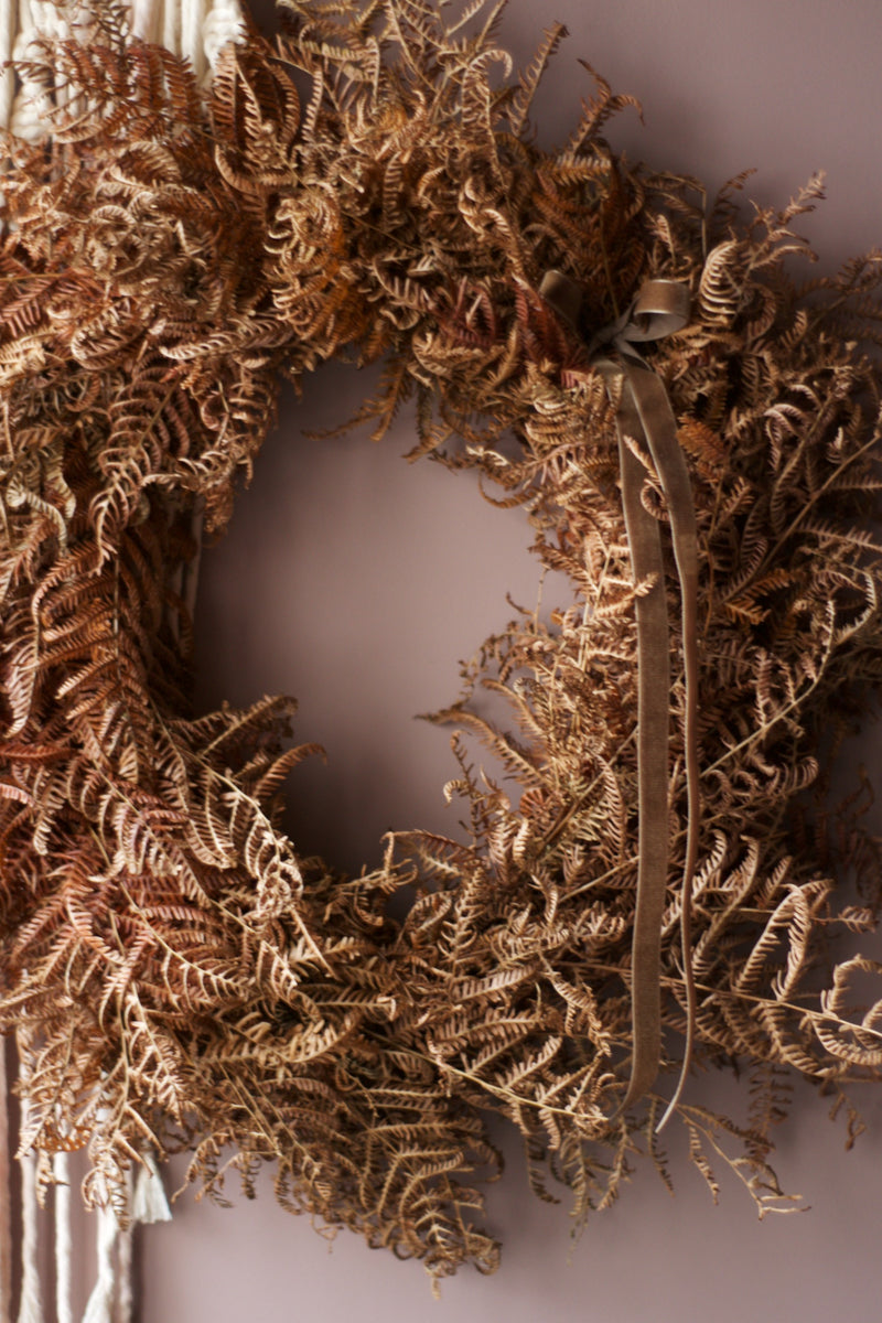 Woodland walk Tiger Lily