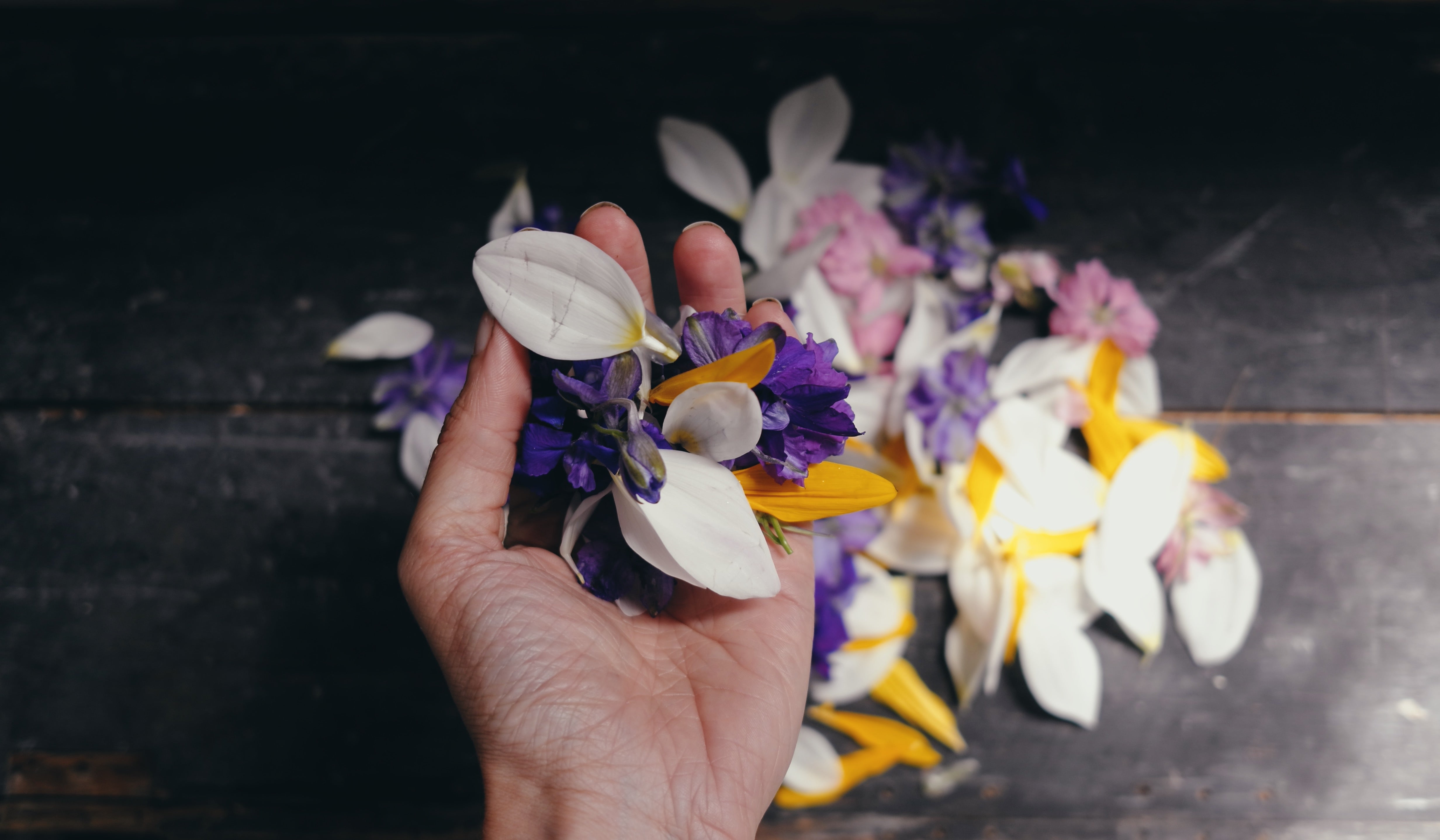 tiger lily guernsey Our own petal confetti – Tiger Lily