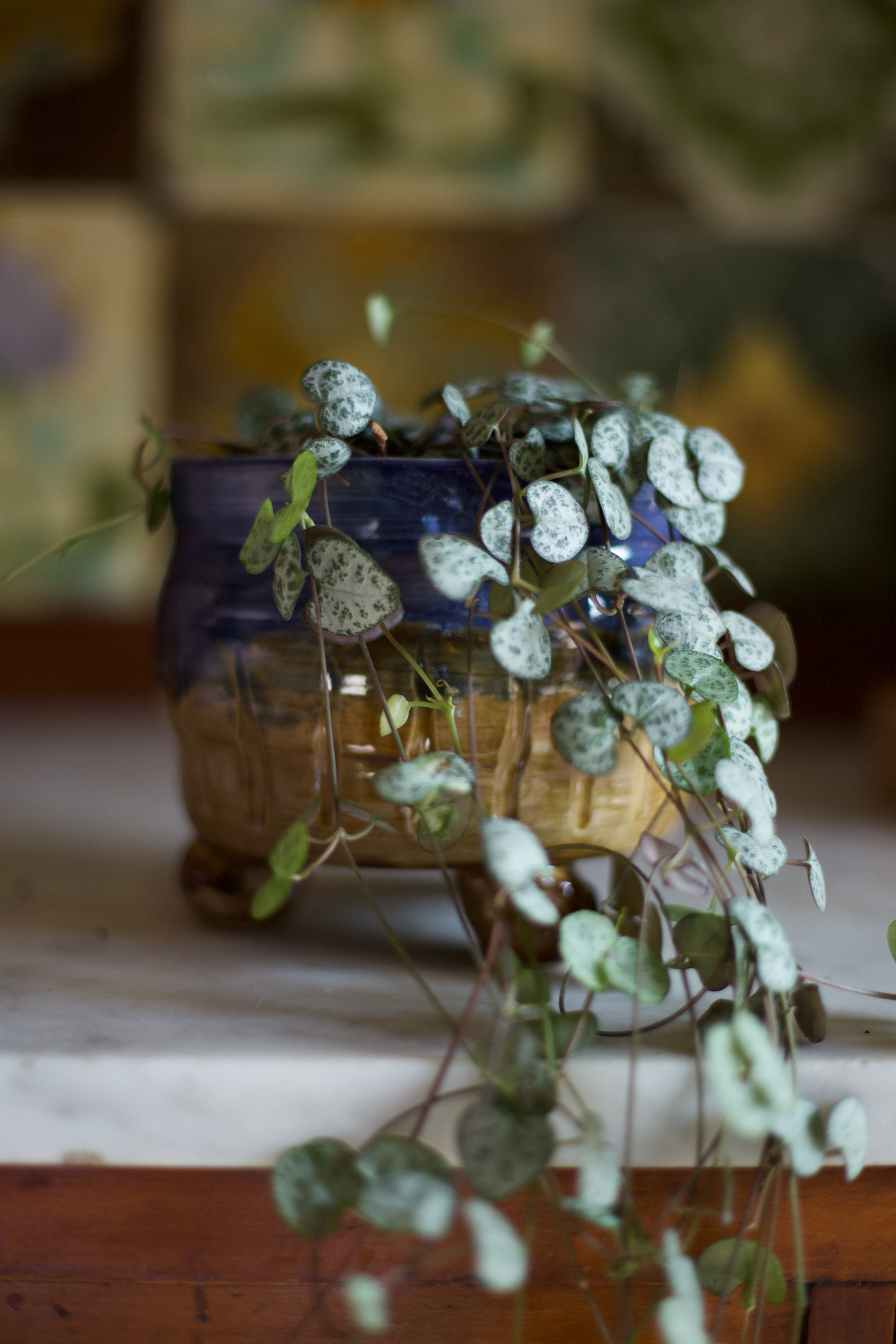String of hearts