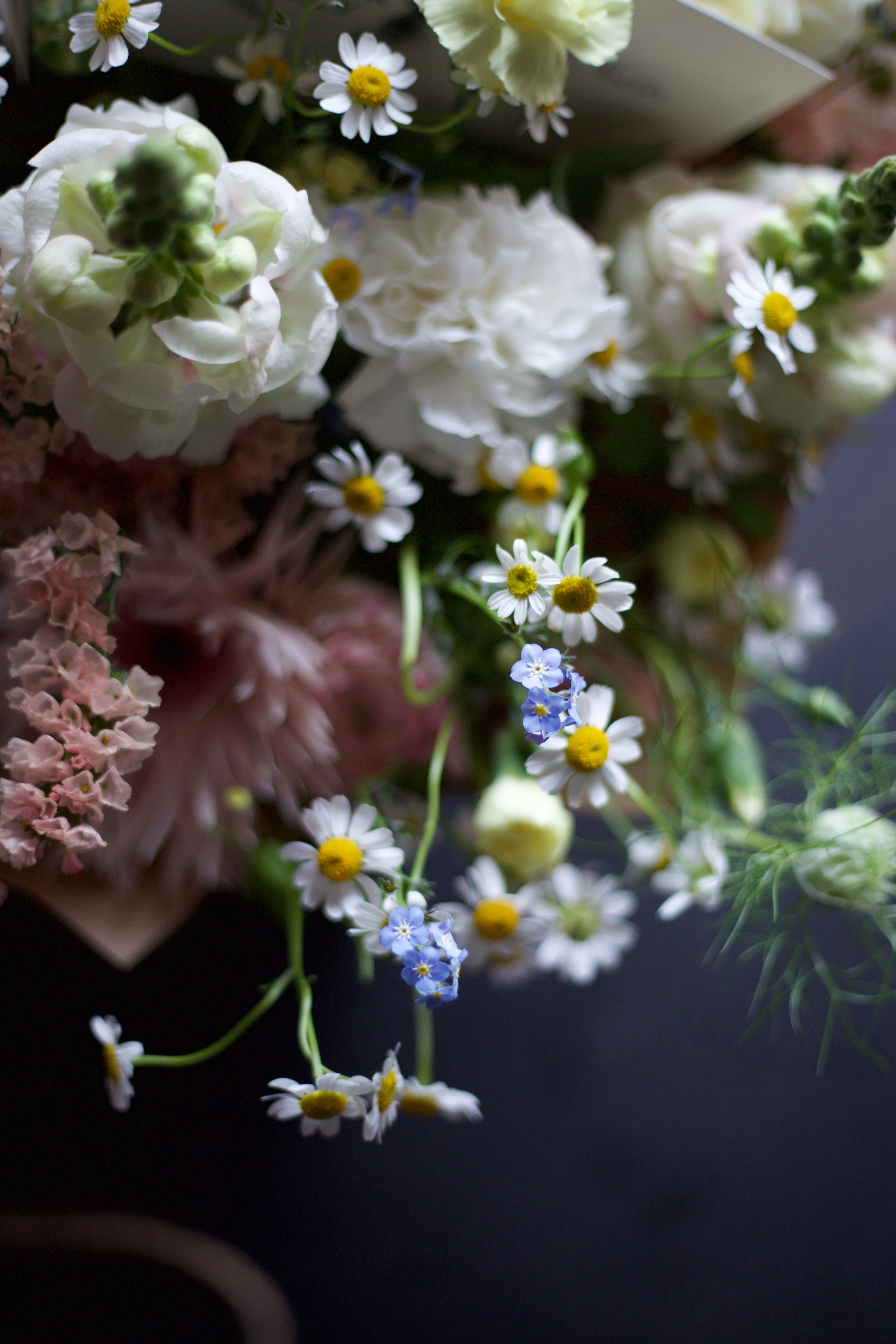 Seasonal pastels