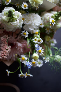 Seasonal pastels