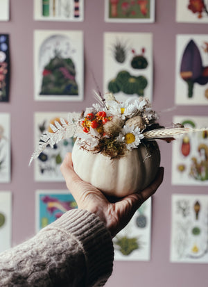 Frida pumpkin