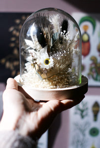 Dried flower dome